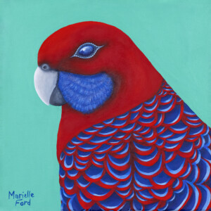 Colourful crimson rosella painting in acrylics on turquoise background